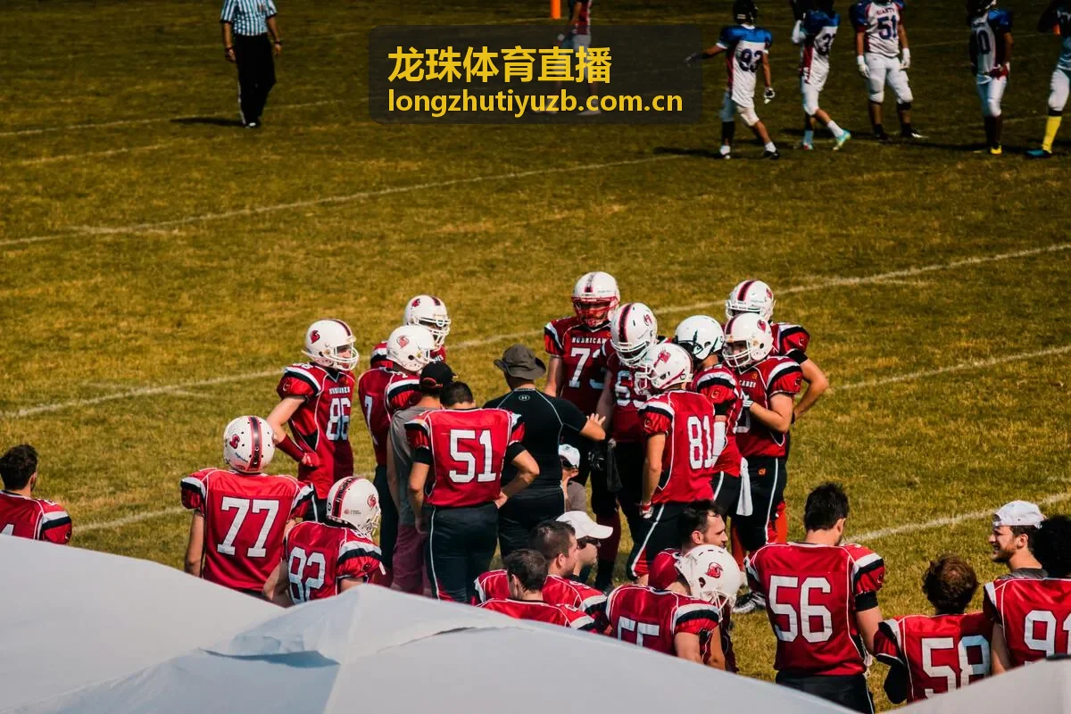 龙珠体育直播回放集锦界面截图